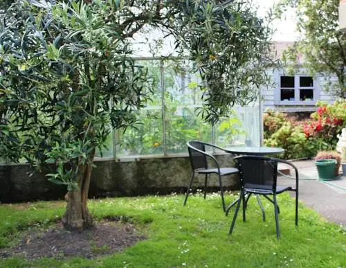 Olive Tree Bed & Breakfast