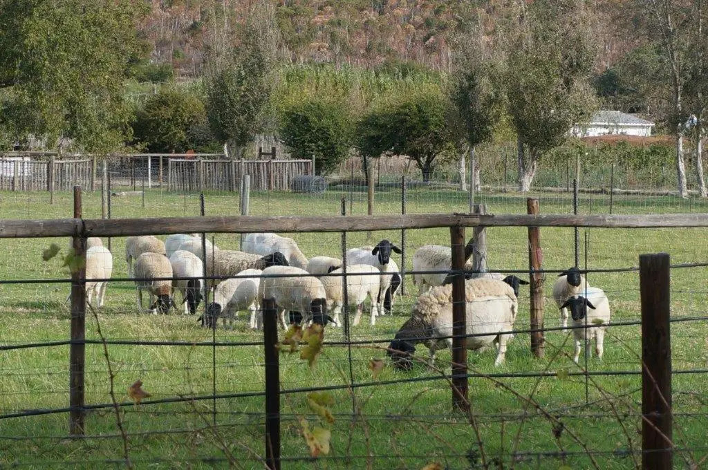 Long Acres Cottages