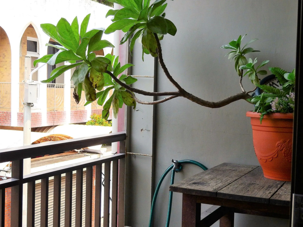 Tainan Anping House