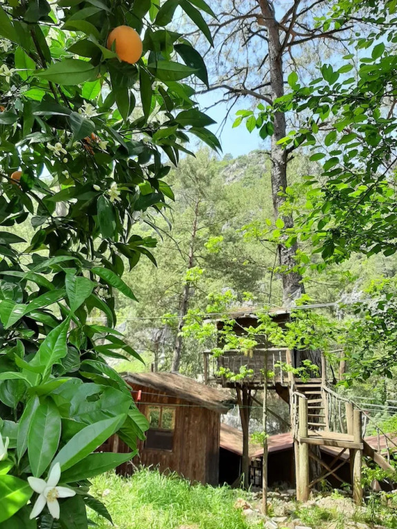 Altaris Bungalows Olympos