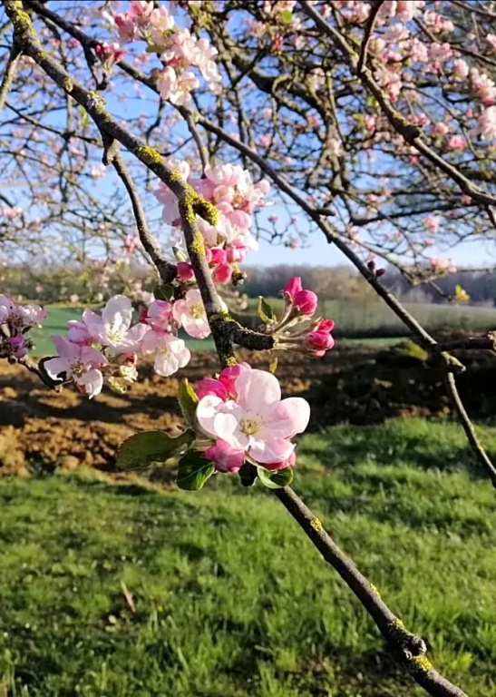 La Grange à outeaux