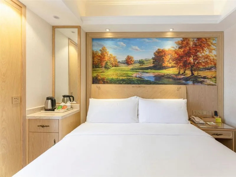 Vienna Hotel (Chongqing Yangjiaping Pedestrian Street Light Rail Station)