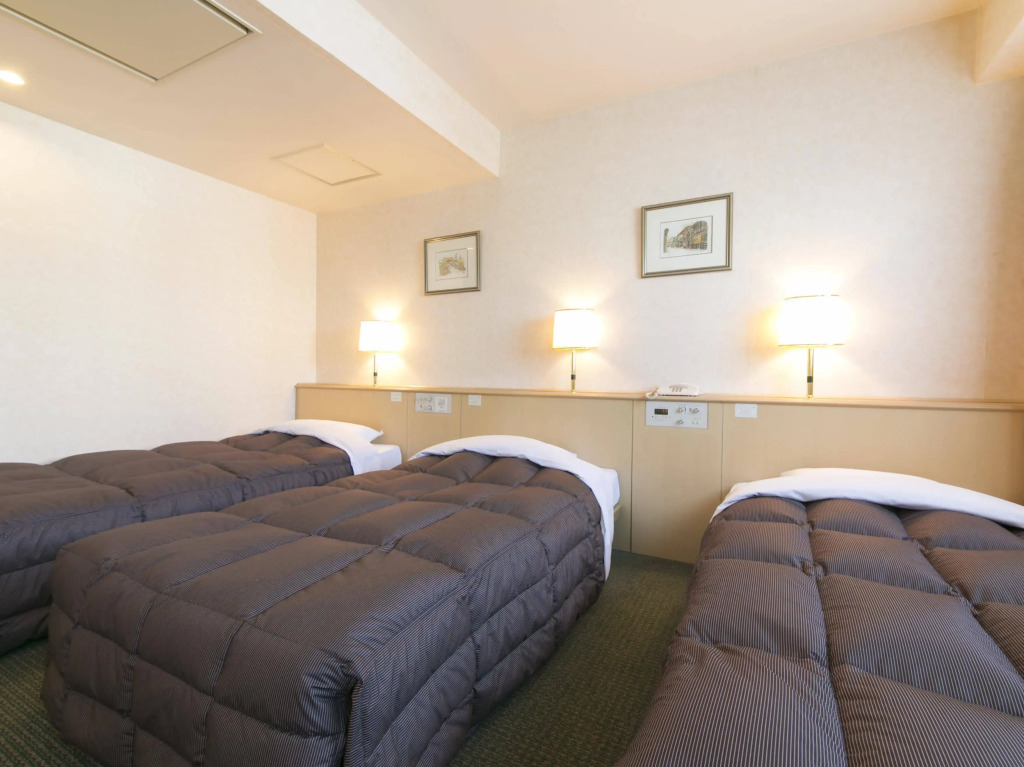 Hida Takayama Washington Hotel Plaza