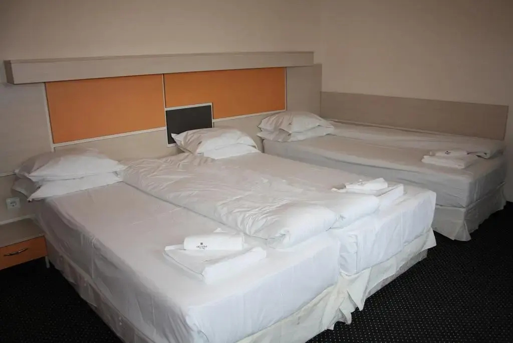 Orlando Hotel