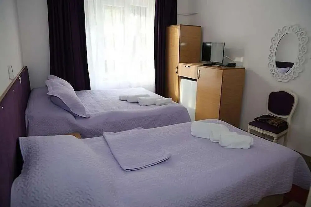 Antik Otel Unye