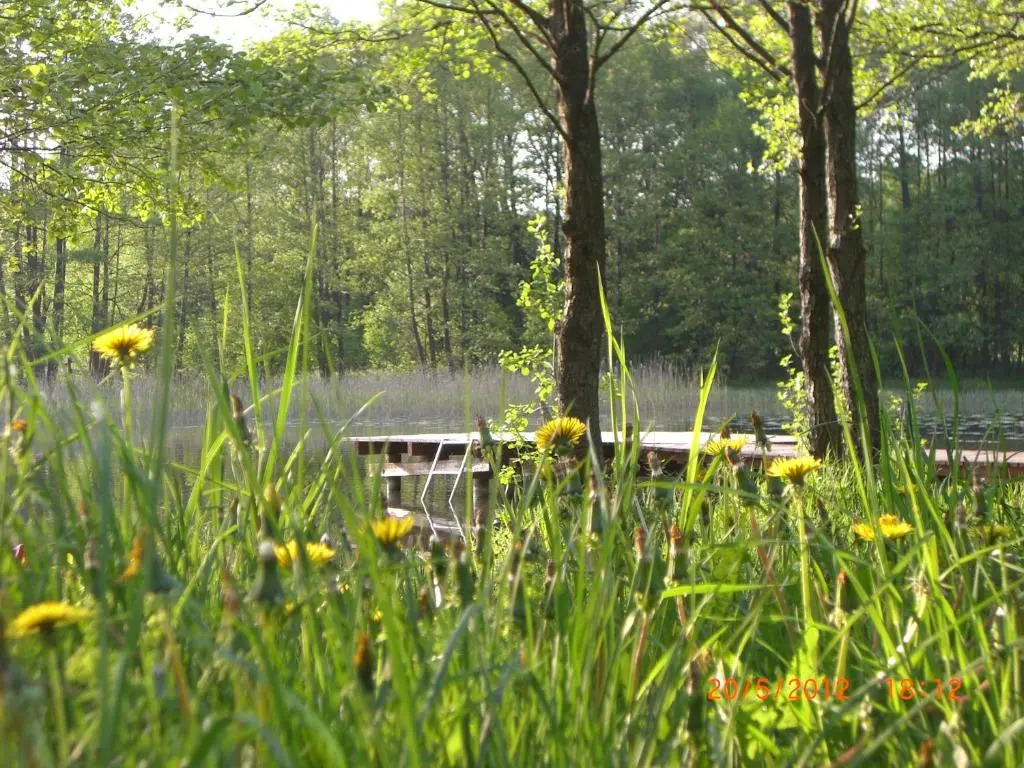 Domek Moczykija