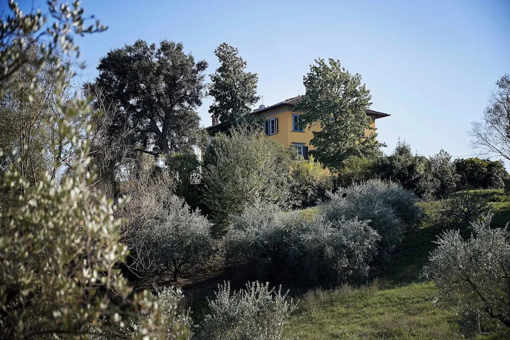 Villa Pacini - just 1,8 km outside Lucca Wall - Pool