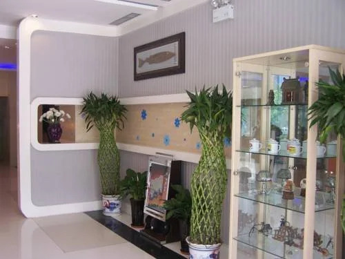 Mango Fashion Hotel