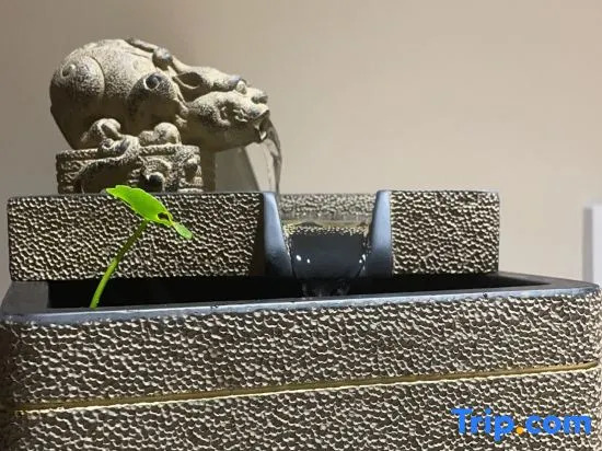 Yandang Montain Quansheng Yanyu Homestay