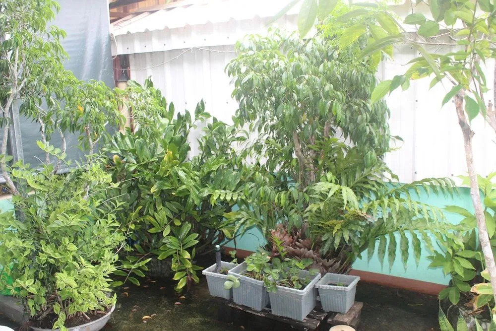 Maraños Home