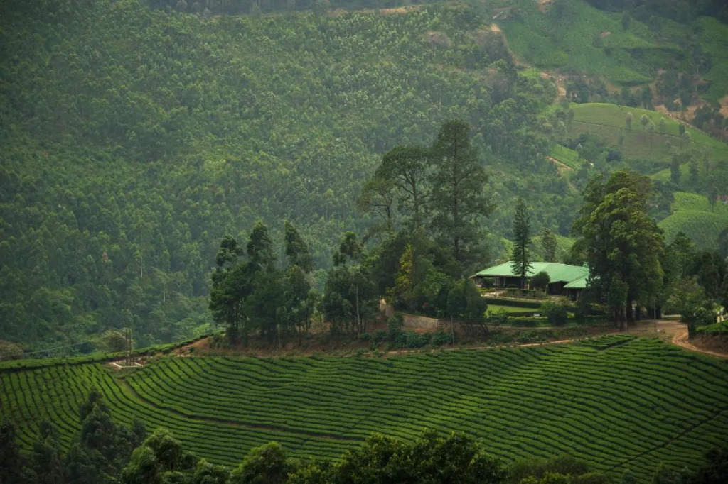 Talayar Valley Bungalow