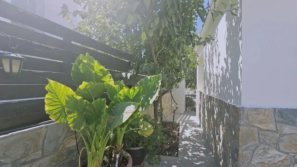 148 Lim- Stay Synergy House
