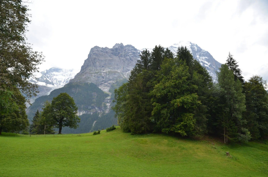 MOM - Alpine Boutique Apartments, Grindelwald gletscher, Eiger View Terrace Studio