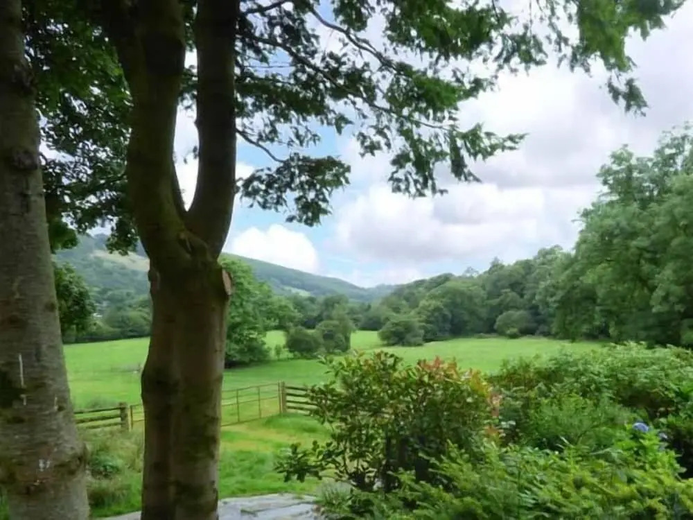Crud-y-barcud