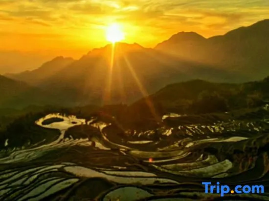 Jingya Shuju Farmhouse