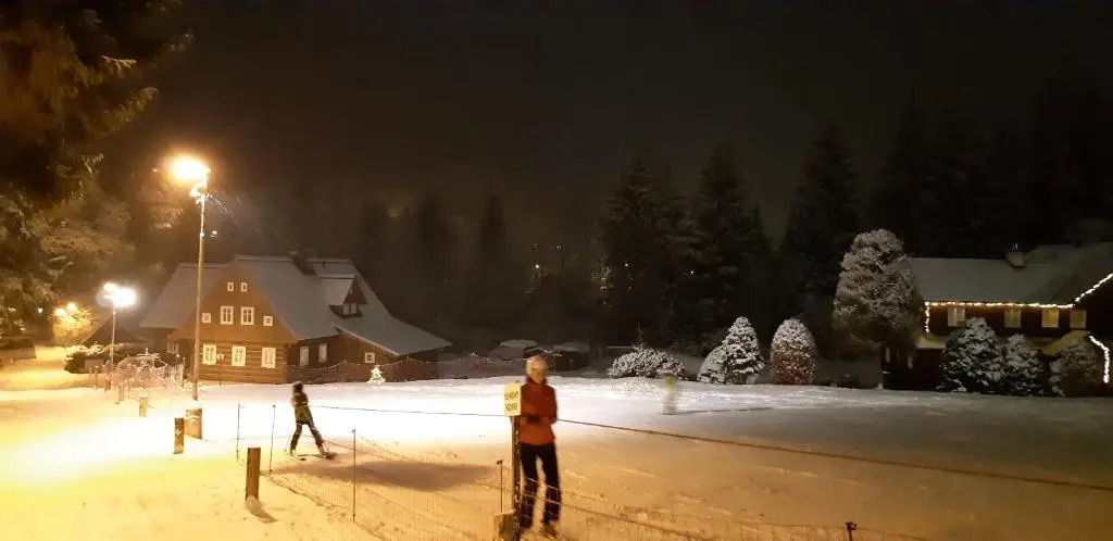 Harrachov Resident Apartments "Terrace & Chill" - high speed WiFi, možnost snídaně, Smart TV, Netflix, Disney plus