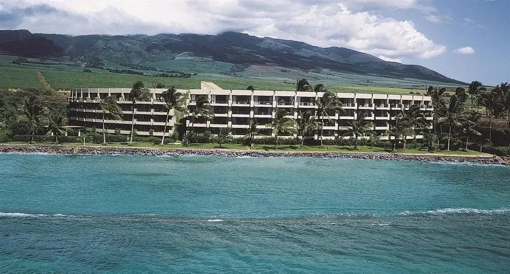 Aston Paki Maui