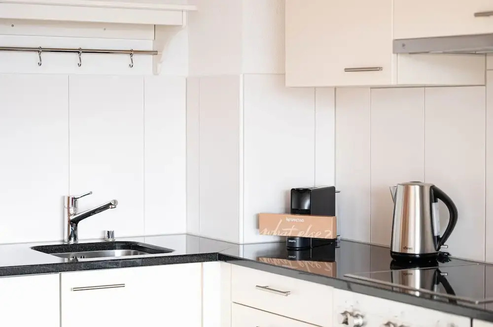 E-64 Duplex-3BDR apartment with Sky roof-Zurich West