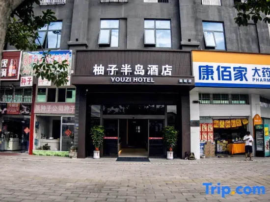 Yuzi Peninsula Hotel (Liancheng Sijiaojing Cultural Square)