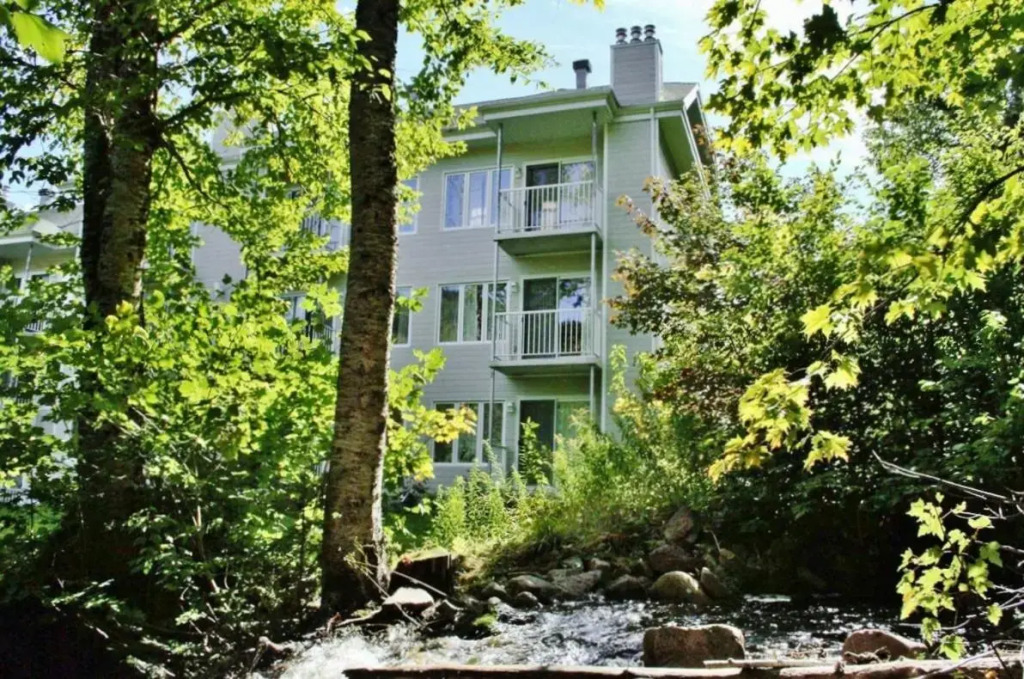 Condo 204 33 Chemin du Hameau by Les Chalets Alpins