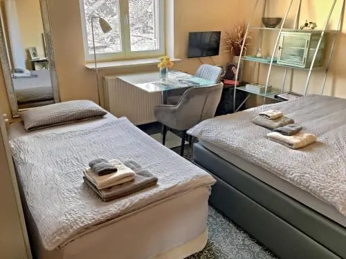 Lion Homestay Munich