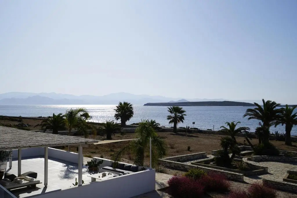 The view 1