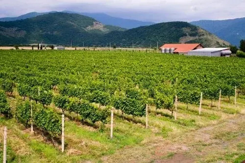 Shaloshvili's Cellar Hotel