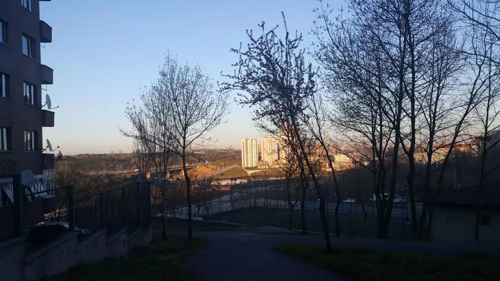 Golden horn