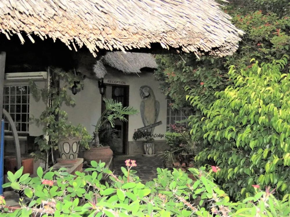 Parrot Lodge