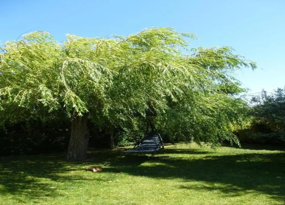 Superb Yurt of Mongolian Tradition in Provence