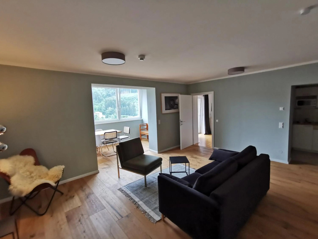 The View - Design und SPA Apartment im Schillerhof