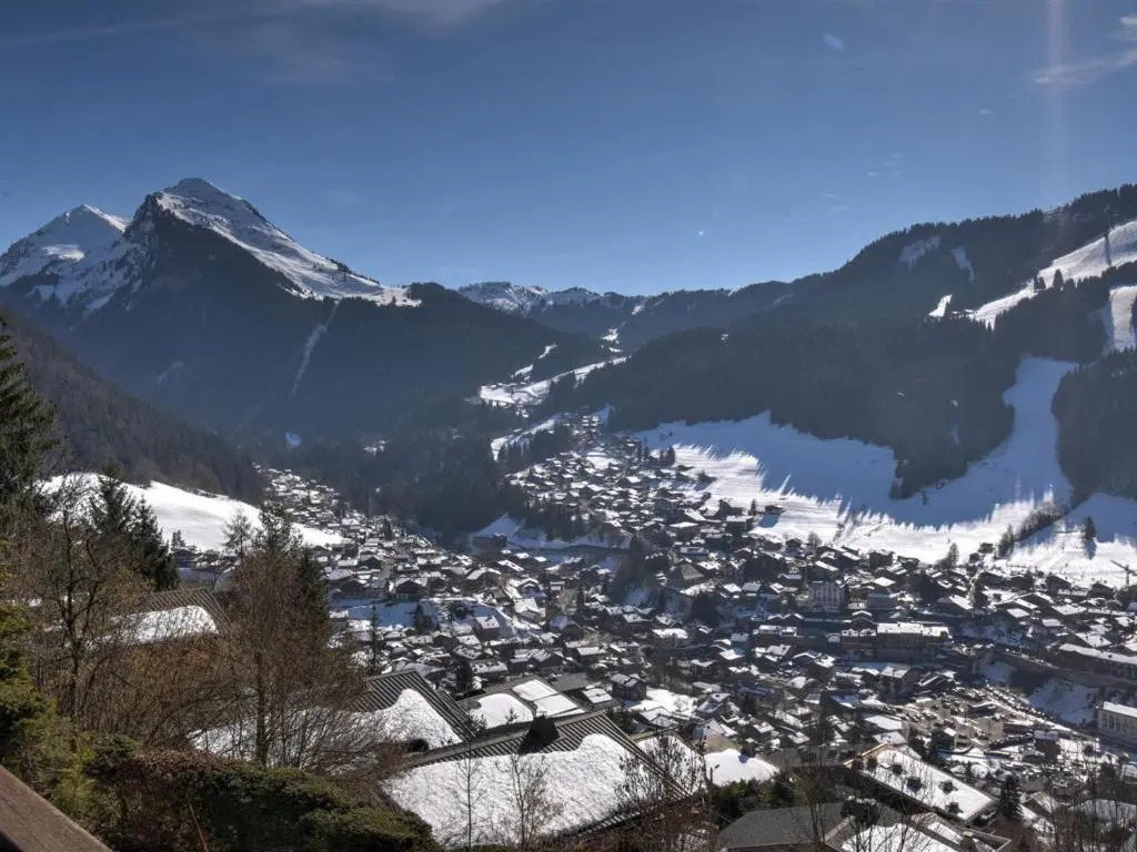Appartement Morzine, 2 pièces, 4 personnes - FR-1-524-75