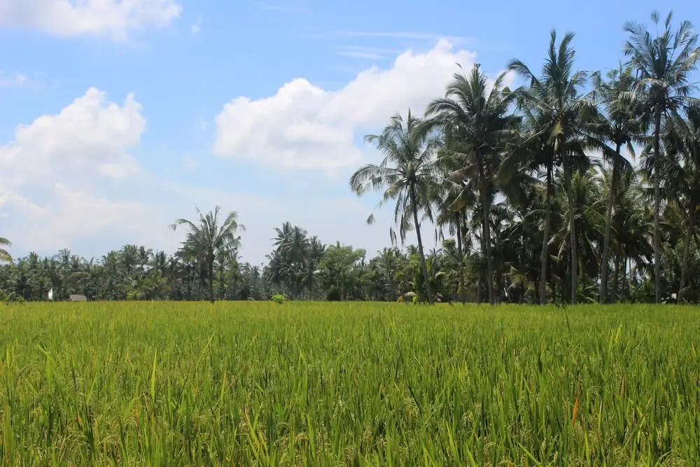 Villa Hening