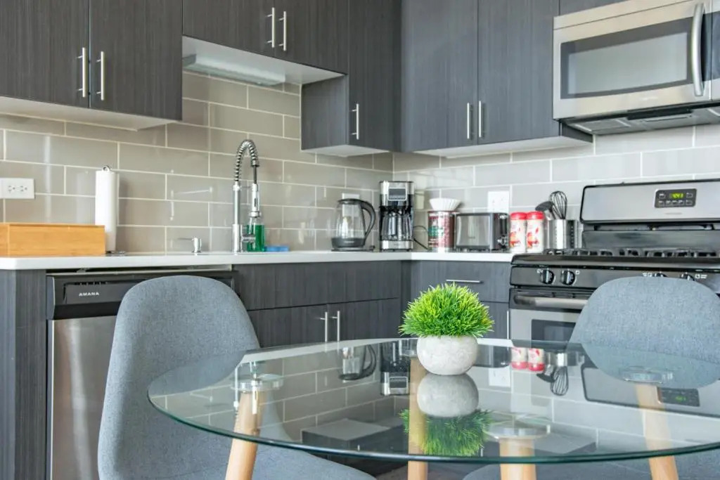 McCormick Place 420 friendly 2br-2ba on Michigan avenue with optional parking for 6 guests