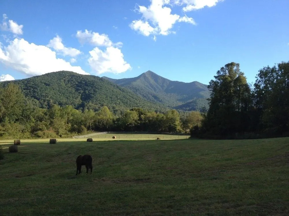Pisgah View Ranch