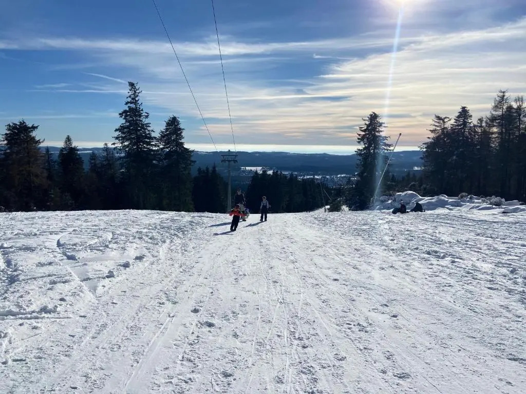 Luxuriöse 3-Zi. Ferienwohnung Jagdromantik 200 m bis zur Wurmbergsseilbahn
