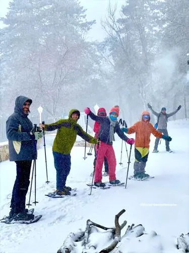 Shkreli Hotel Camp