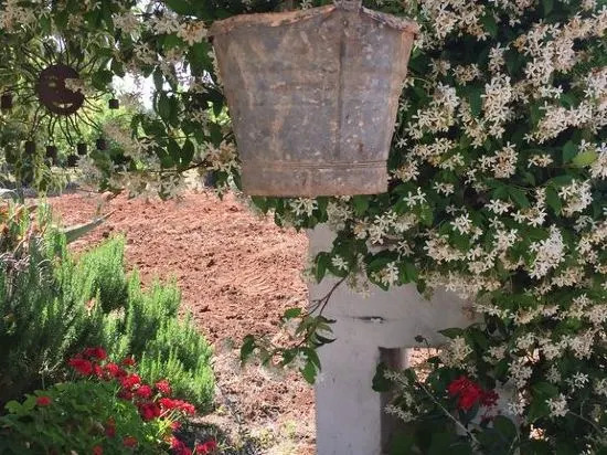 Trulli del Gelso