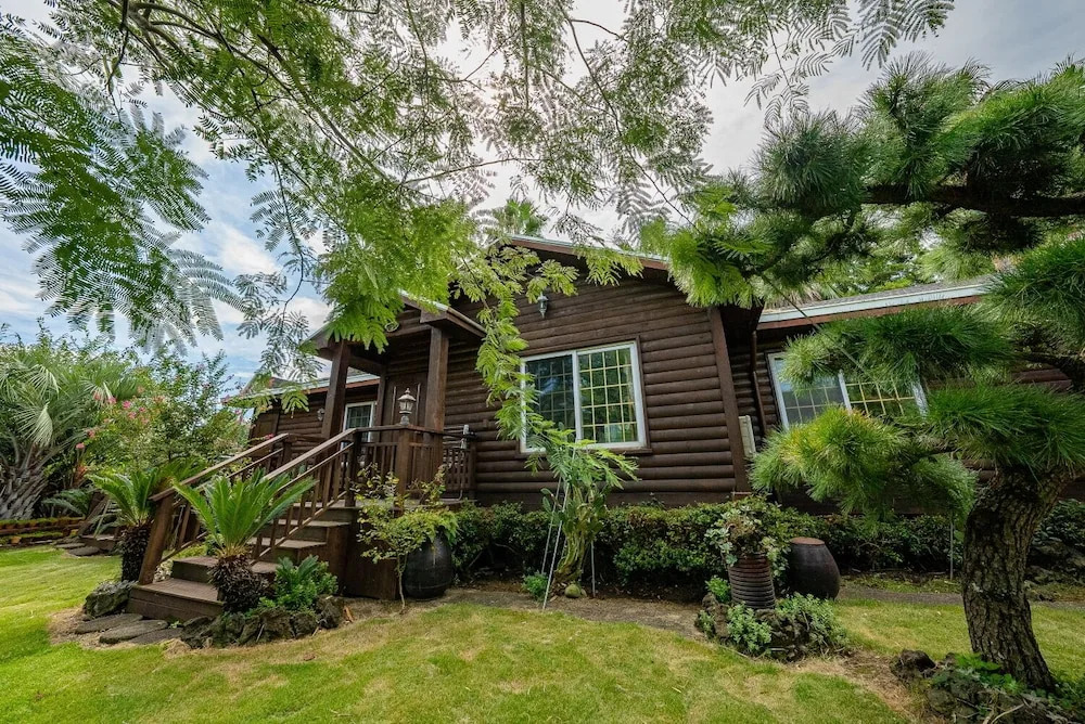 Seogwipo Baelritongnamubilriji Pension