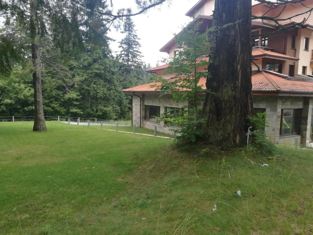 Borovets Mountain Apartment Sequoia