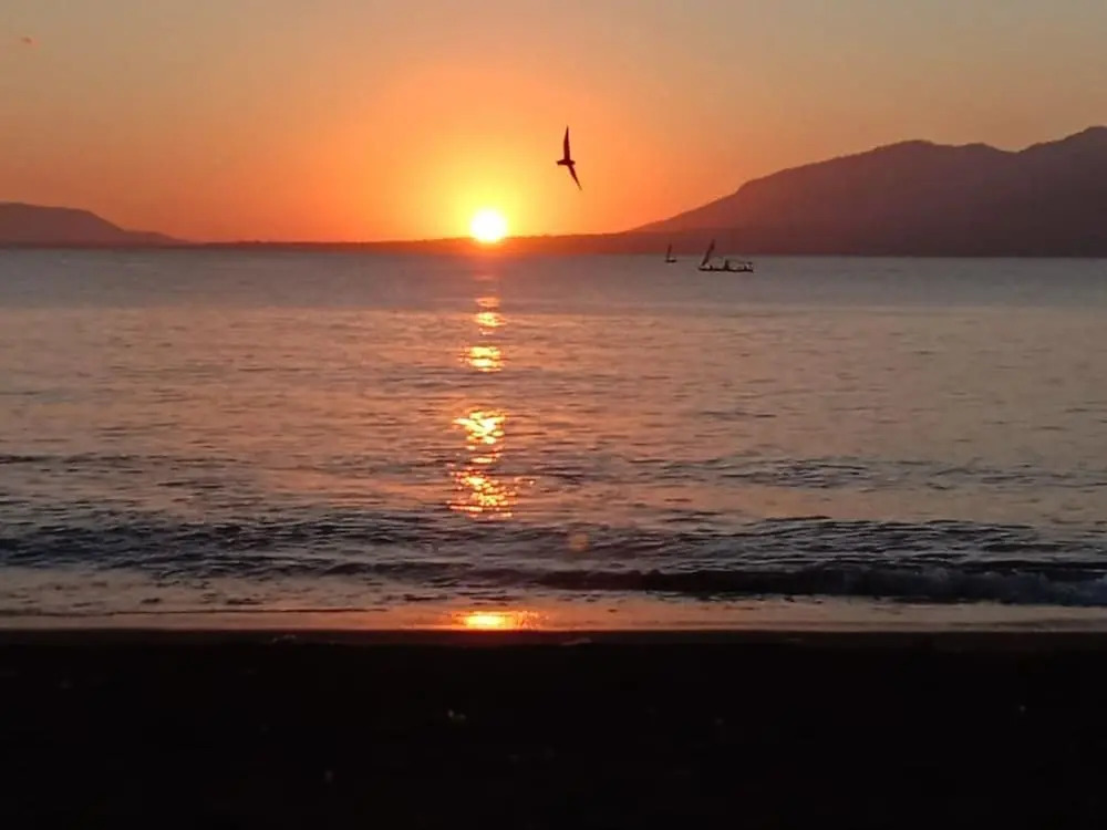Sunrise Banyuwangi Homestay