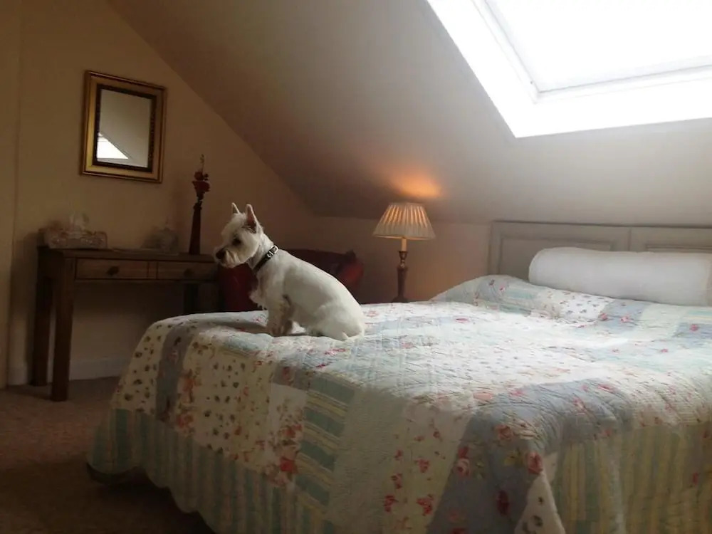 Glendevon Central Bed and Breakfast