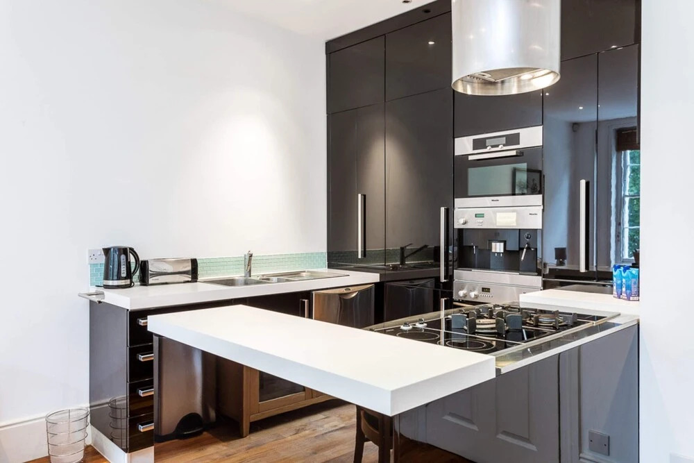 Spacious Pimlico Apartment