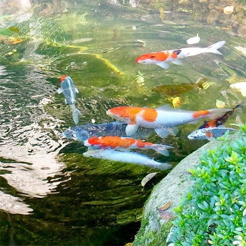 Ryokan Takeyashiki