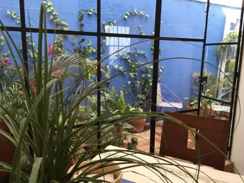Casa Molcajete
