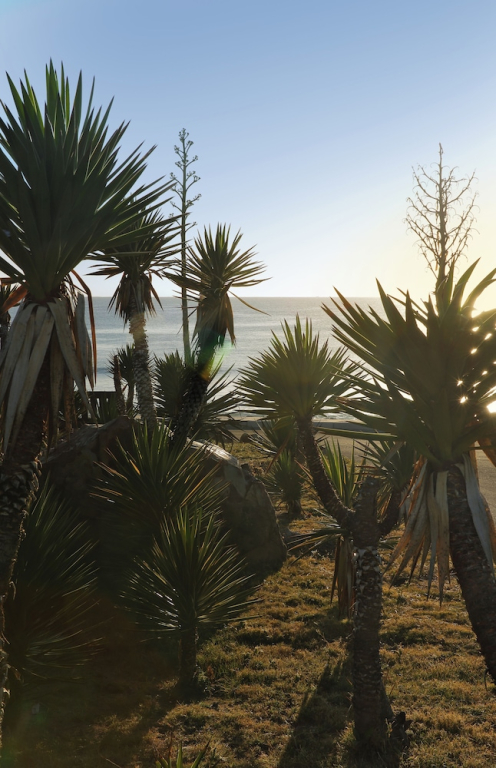 Seaside Shalom Apartment - Ocean Views