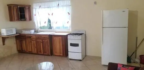 Wizzy Apartment