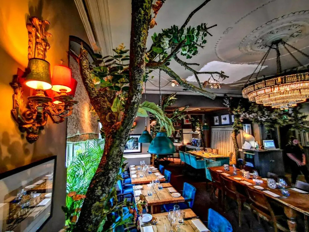 Ox Hotel Bar & Grill