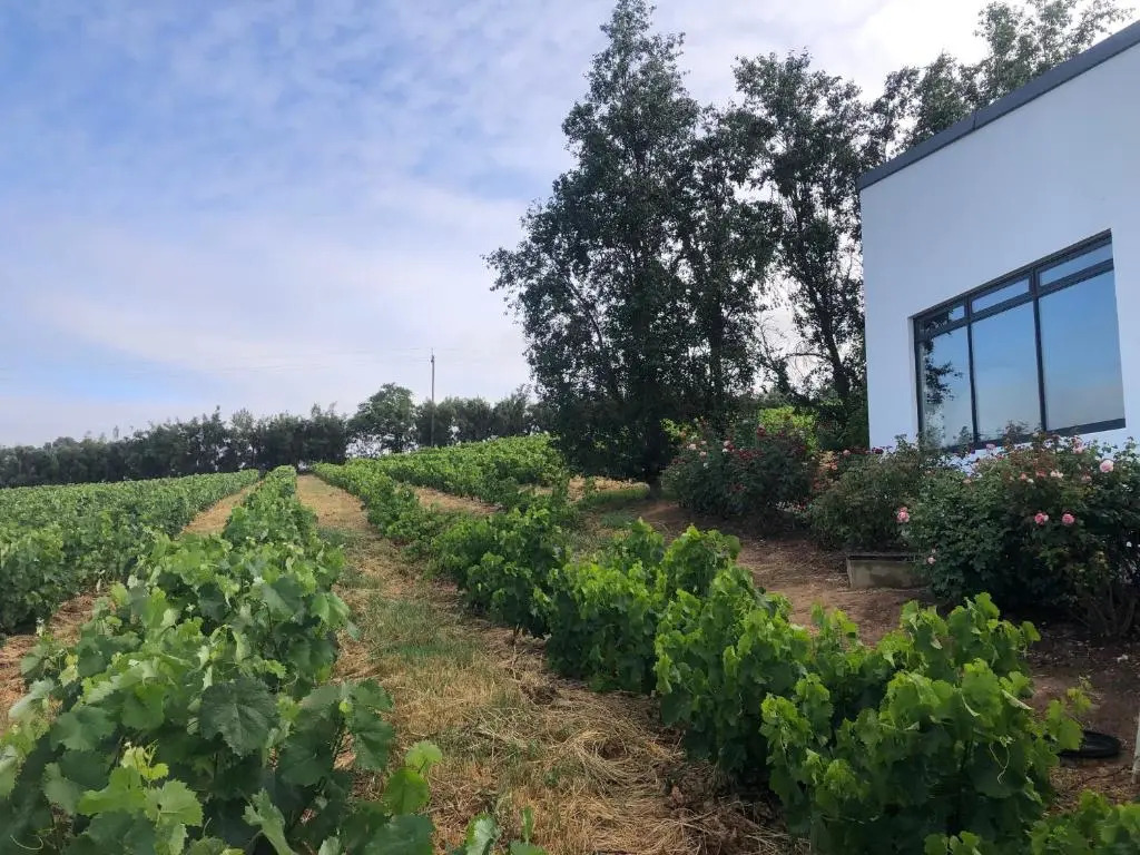 Tempel Wines