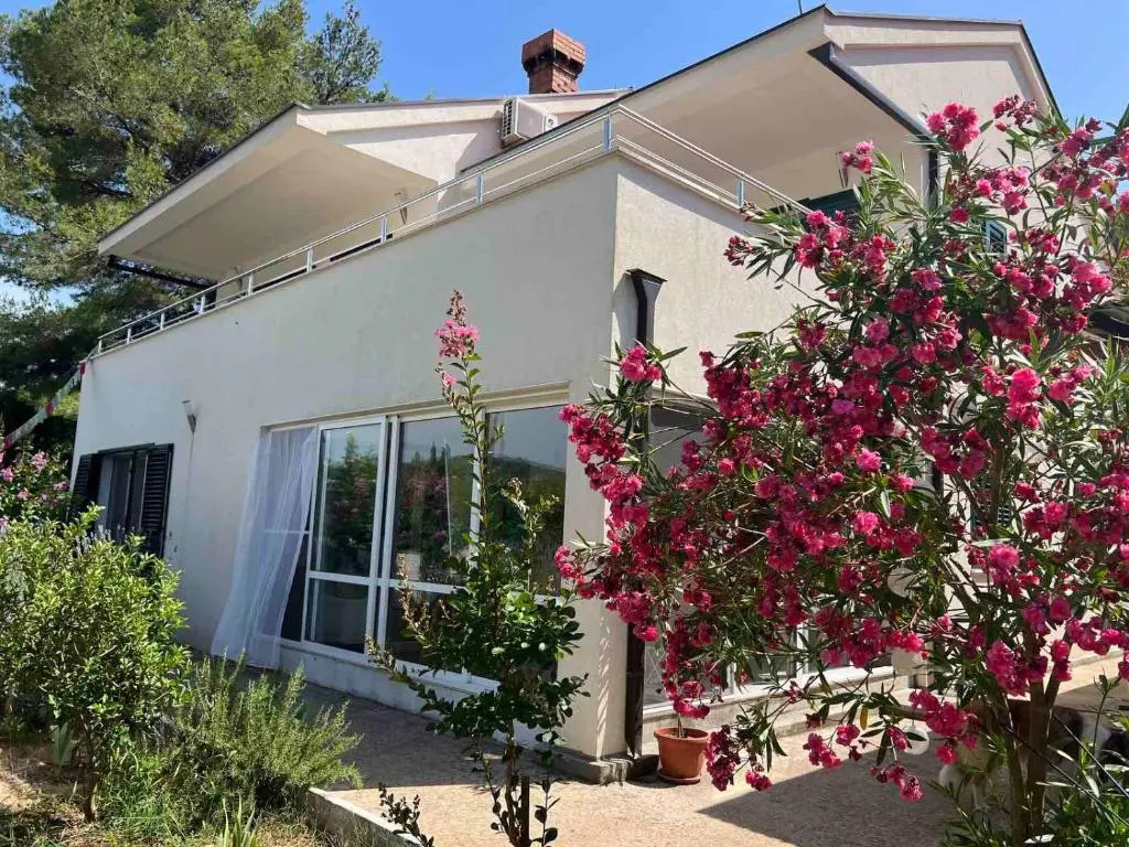 Kokos home